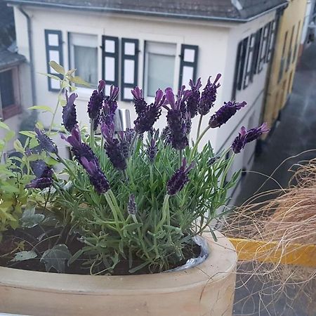 Haus Alfina Villa Eksteriør bilde