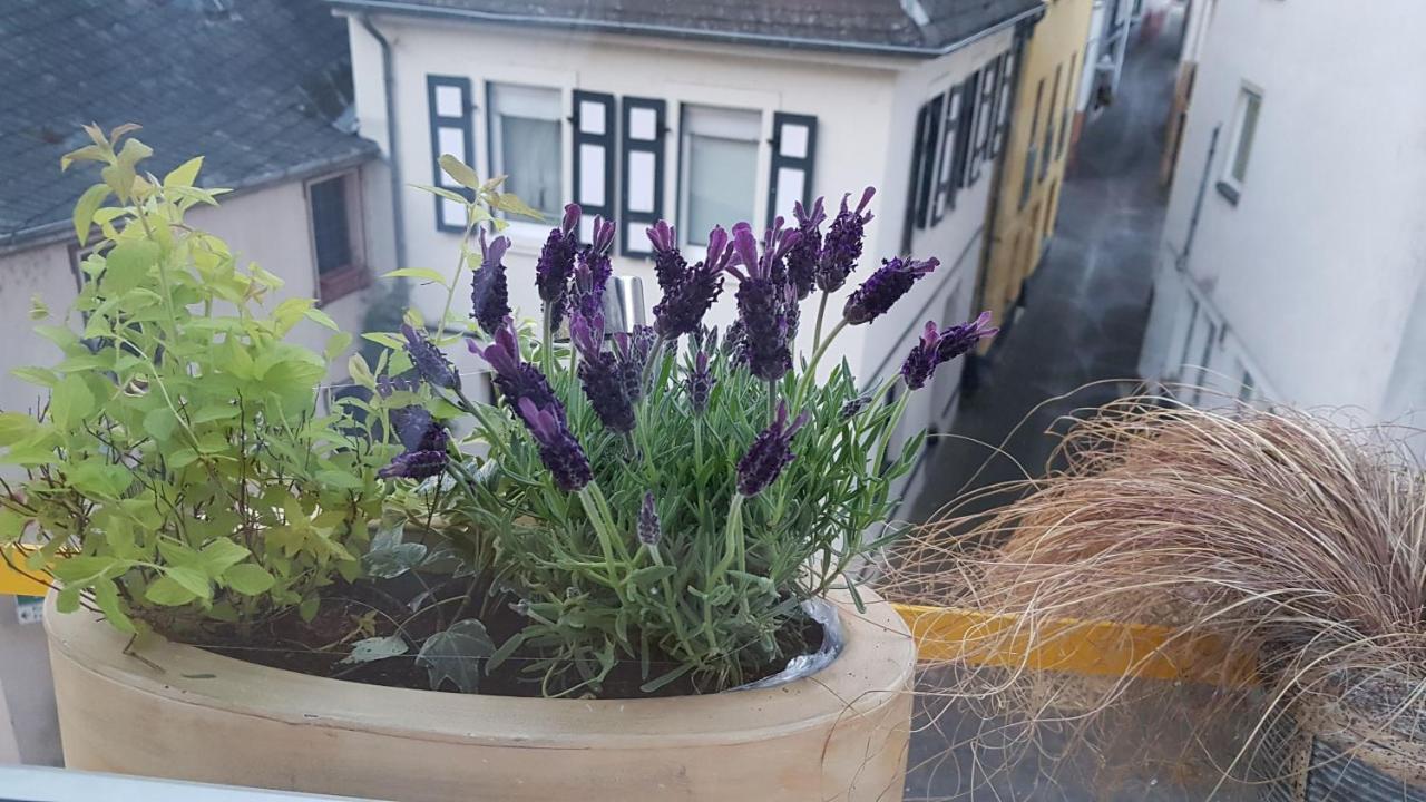 Haus Alfina Villa Eksteriør bilde
